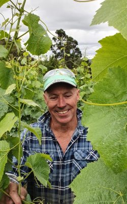 Rusty in the vines